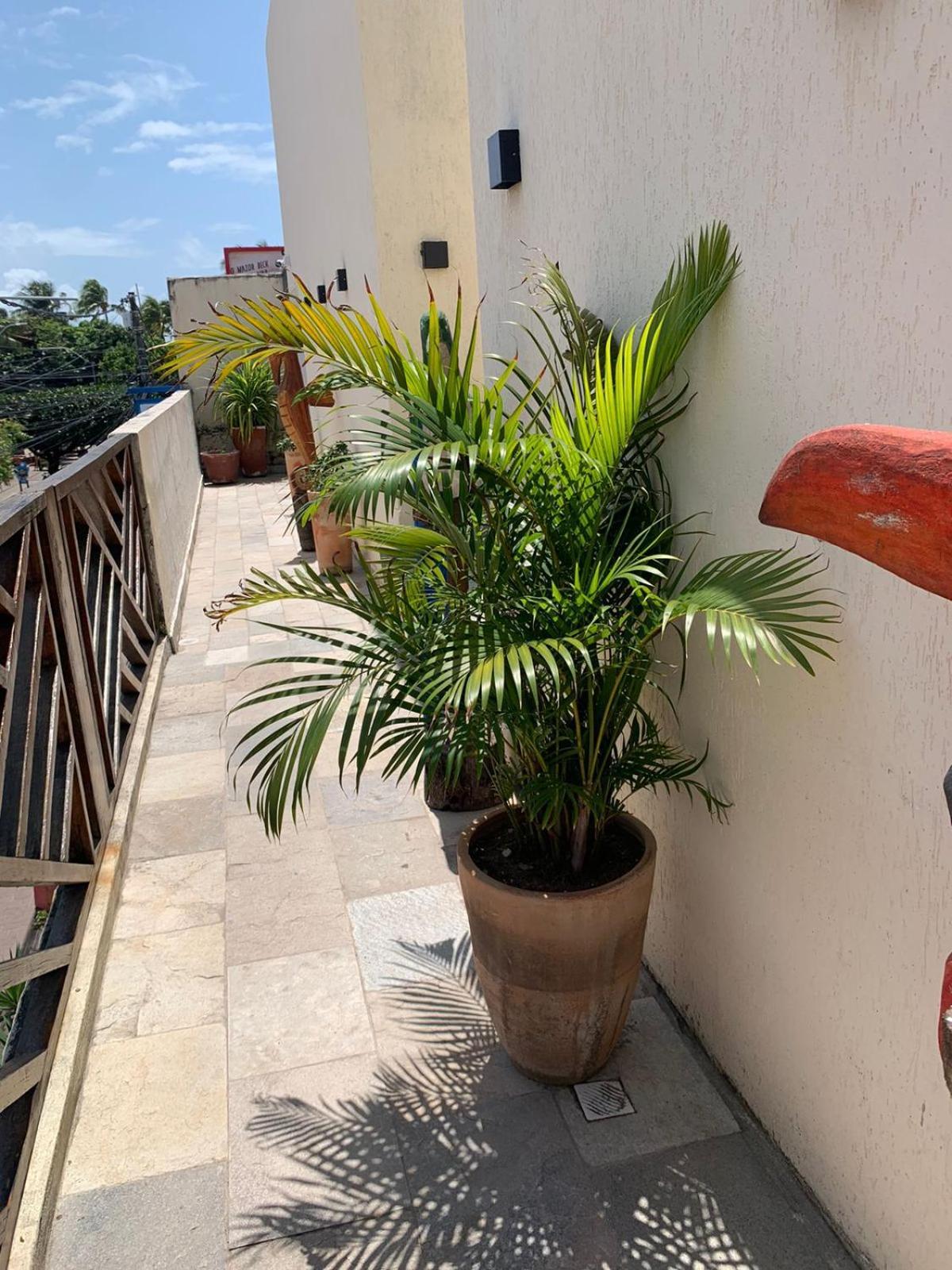 Villa Peixe Na Telha Pôrto das Galinhas Exterior foto